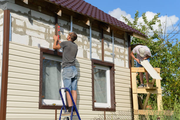 Best Stone Veneer Siding  in Webster Groves, MO