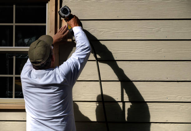 Best Historical Building Siding Restoration  in Webster Groves, MO