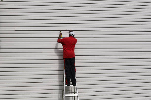 Best Siding for Commercial Buildings  in Webster Groves, MO